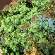 Congo-2