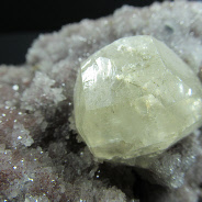 CH-008